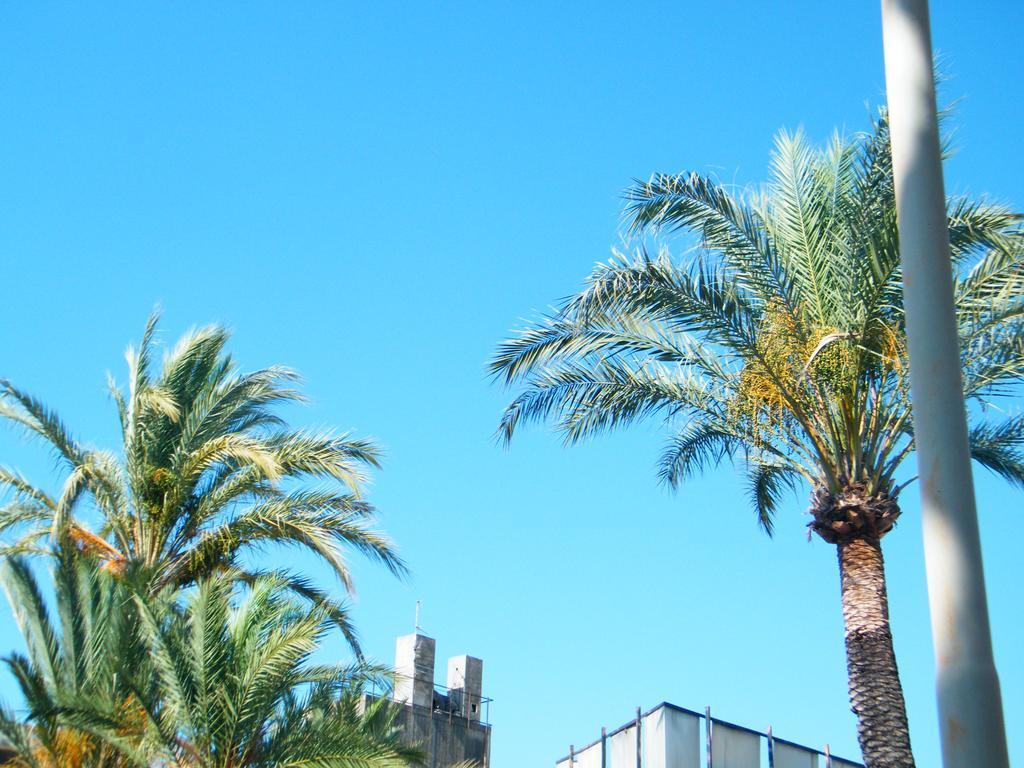 בורדיגרה Appartamento Vacanze I Provenzali מראה חיצוני תמונה